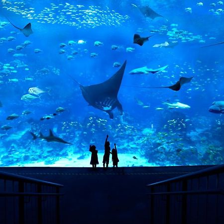 Resorts World Sentosa - Festive Hotel Singapur Zewnętrze zdjęcie The Lost Chambers Aquarium