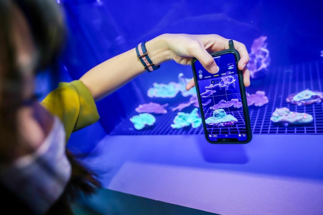 Resorts World Sentosa - Festive Hotel Singapur Zewnętrze zdjęcie A visitor takes a photo of the aquarium