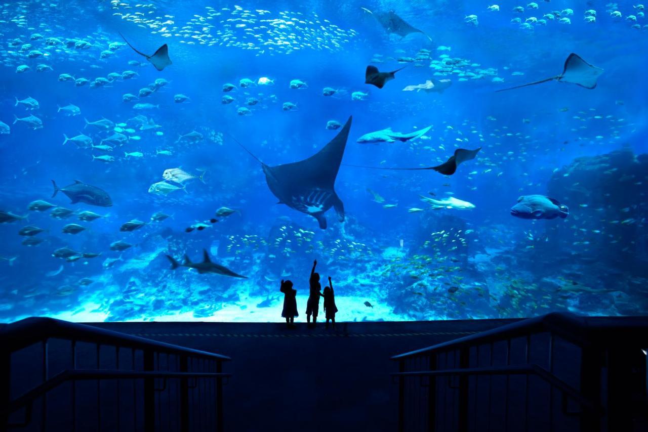 Resorts World Sentosa - Festive Hotel Singapur Zewnętrze zdjęcie The Lost Chambers Aquarium