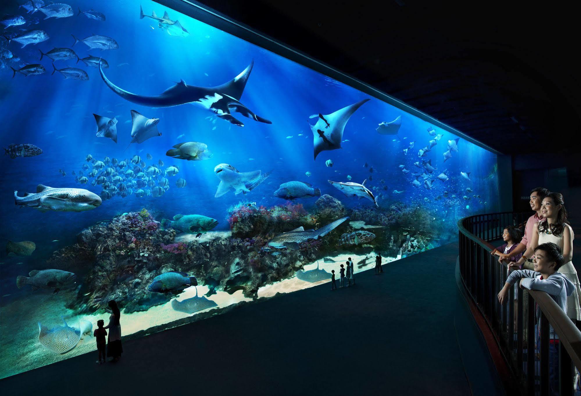 Resorts World Sentosa - Festive Hotel Singapur Zewnętrze zdjęcie The open ocean exhibit