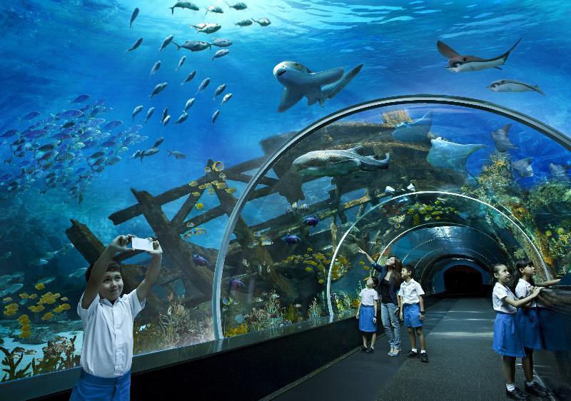 Resorts World Sentosa - Festive Hotel Singapur Zewnętrze zdjęcie Sea Life Sydney Aquarium